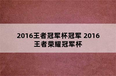 2016王者冠军杯冠军 2016王者荣耀冠军杯